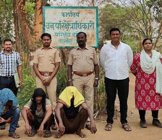मेंढा (लेखा) जंगलातून सागवान-बिजा वृक्षांची अवैध तोड; तिघांना अटक, ३० मार्चपर्यंत वनकोठडी