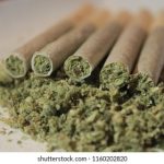 मूल शहर गांज्याच्या विळख्यात? तरुण पिढी धोक्यात; पालक अनभिज्ञ, तपास यंत्रणेवर प्रश्न