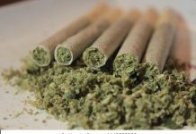 मूल शहर गांज्याच्या विळख्यात? तरुण पिढी धोक्यात; पालक अनभिज्ञ, तपास यंत्रणेवर प्रश्न